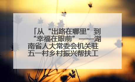 从“出路在哪里”到“幸福在眼前”——湖南省人大常委会机关驻五一村乡村振兴帮扶工作队书写振兴答卷