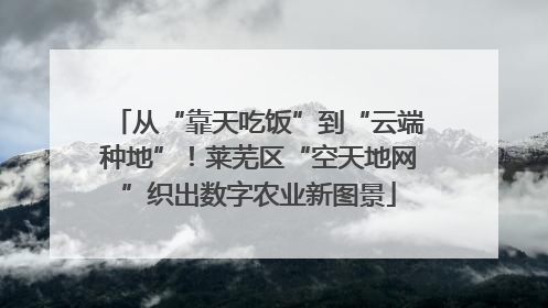 从“靠天吃饭”到“云端种地”！莱芜区“空天地网”织出数字农业新图景
