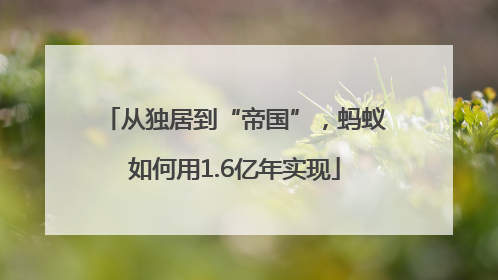 从独居到“帝国”，蚂蚁如何用1.6亿年实现