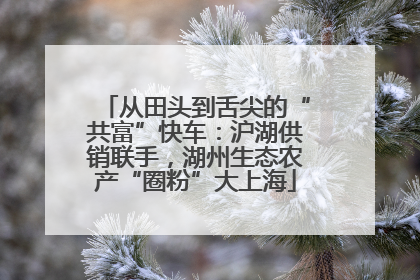 从田头到舌尖的“共富”快车：沪湖供销联手，湖州生态农产“圈粉”大上海