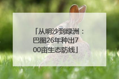 从明沙到绿洲：巴图26年种出700亩生态防线