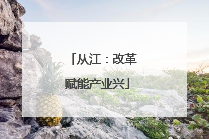 从江：改革赋能产业兴