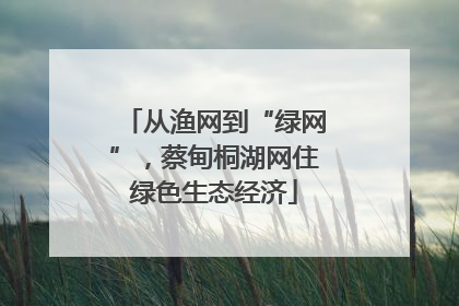 从渔网到“绿网”，蔡甸桐湖网住绿色生态经济
