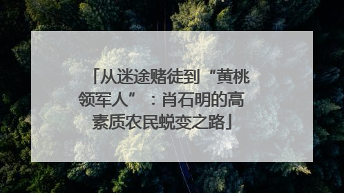 从迷途赌徒到“黄桃领军人”：肖石明的高素质农民蜕变之路