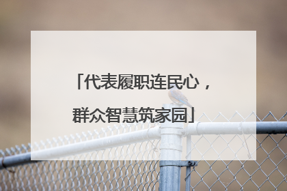 代表履职连民心，群众智慧筑家园