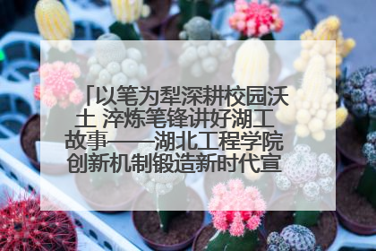 以笔为犁深耕校园沃土 淬炼笔锋讲好湖工故事——湖北工程学院创新机制锻造新时代宣传“轻骑兵”