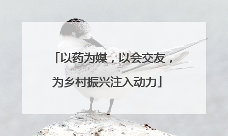 以药为媒，以会交友，为乡村振兴注入动力
