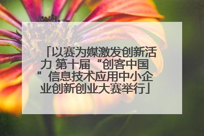 以赛为媒激发创新活力 第十届“创客中国”信息技术应用中小企业创新创业大赛举行