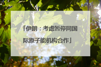 伊朗：考虑暂停同国际原子能机构合作