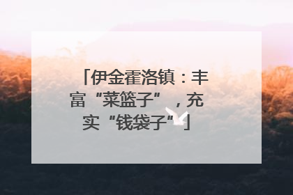 伊金霍洛镇：丰富“菜篮子”，充实“钱袋子”