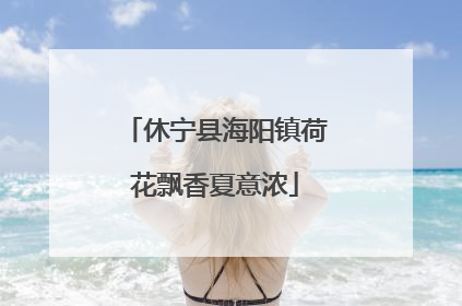 休宁县海阳镇荷花飘香夏意浓