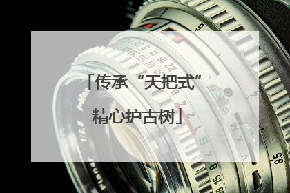 传承“天把式” 精心护古树