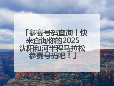 参赛号码查询丨快来查询你的2025沈阳和河半程马拉松参赛号码吧！