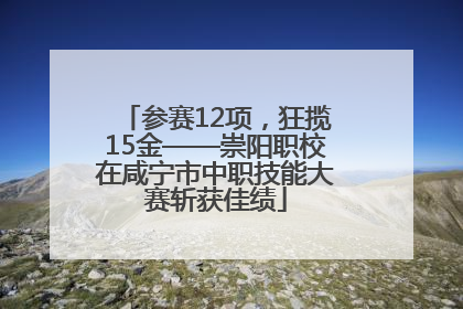 参赛12项，狂揽15金——崇阳职校在咸宁市中职技能大赛斩获佳绩