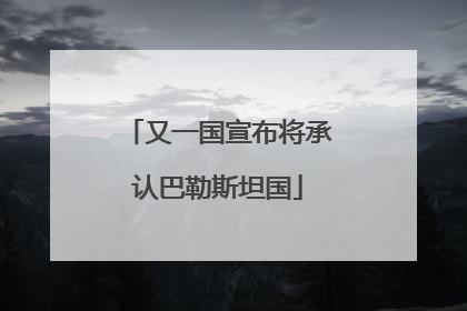 又一国宣布将承认巴勒斯坦国