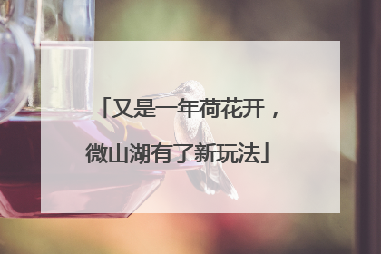 又是一年荷花开，微山湖有了新玩法