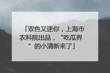 双色又迷你，上海市农科院出品，“吃瓜界”的小清新来了