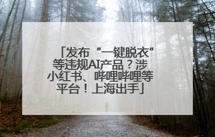 发布“一键脱衣”等违规AI产品？涉小红书、哔哩哔哩等平台！上海出手