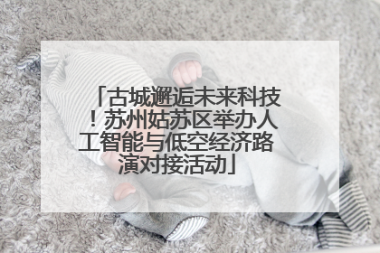 古城邂逅未来科技！苏州姑苏区举办人工智能与低空经济路演对接活动