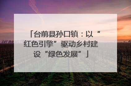 台前县孙口镇：以“红色引擎”驱动乡村建设“绿色发展”