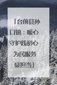台前县孙口镇：暖心守护践初心 为民服务显担当