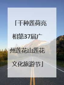 千种莲荷亮相第37届广州莲花山莲花文化旅游节