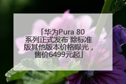 华为Pura 80系列正式发布 除标准版其他版本价格曝光，售价6499元起