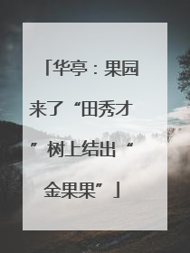 华亭：果园来了“田秀才”树上结出“金果果”