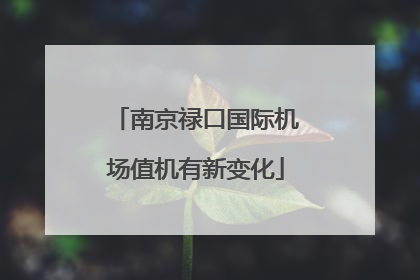 南京禄口国际机场值机有新变化