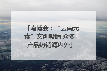 南博会：“云南元素”文创吸睛 众多产品热销海内外