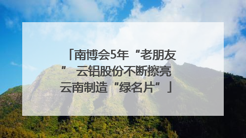 南博会5年“老朋友” 云铝股份不断擦亮云南制造“绿名片”