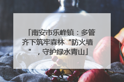 南安市乐峰镇：多管齐下筑牢森林“防火墙”，守护绿水青山