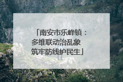 南安市乐峰镇：多维联动治乱象 筑牢防线护民生