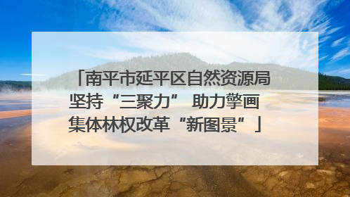 南平市延平区自然资源局坚持“三聚力” 助力擎画集体林权改革“新图景”