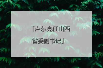 卢东亮任山西省委副书记