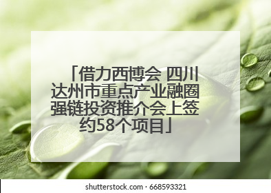 借力西博会 四川达州市重点产业融圈强链投资推介会上签约58个项目
