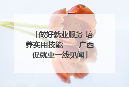 做好就业服务 培养实用技能——广西促就业一线见闻