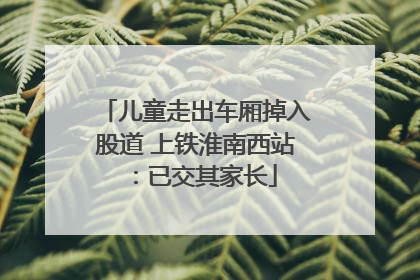 儿童走出车厢掉入股道 上铁淮南西站：已交其家长