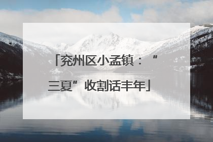 兖州区小孟镇：“三夏”收割话丰年
