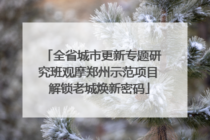 全省城市更新专题研究班观摩郑州示范项目 解锁老城焕新密码