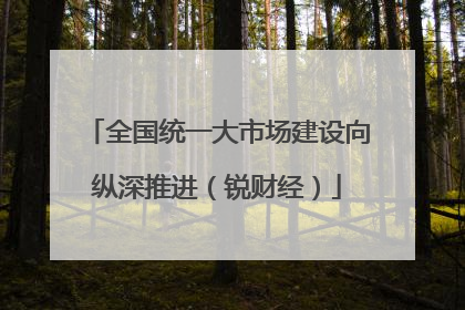 全国统一大市场建设向纵深推进（锐财经）