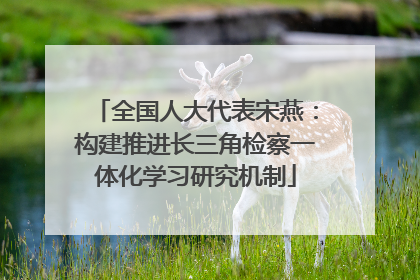 全国人大代表宋燕：构建推进长三角检察一体化学习研究机制