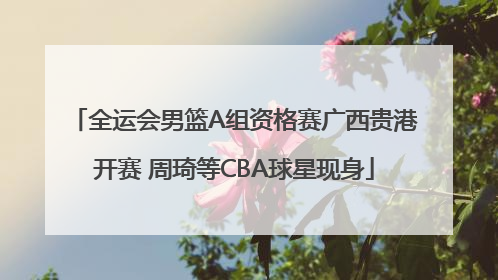 全运会男篮A组资格赛广西贵港开赛 周琦等CBA球星现身