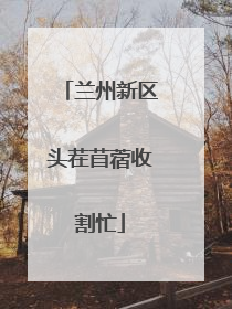 兰州新区头茬苜蓿收割忙