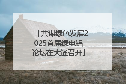 共谋绿色发展2025首届绿电铝论坛在大通召开