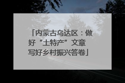 内蒙古乌达区：做好“土特产”文章 写好乡村振兴答卷