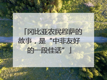 冈比亚农民穆萨的故事，是“中非友好的一段佳话”