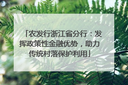 农发行浙江省分行：发挥政策性金融优势，助力传统村落保护利用