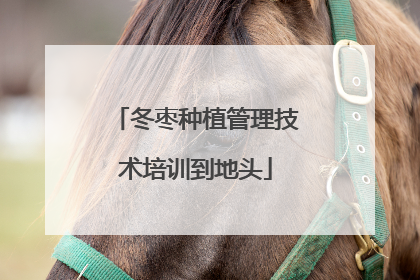 冬枣种植管理技术培训到地头