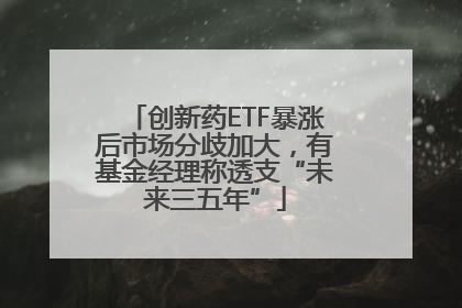 创新药ETF暴涨后市场分歧加大，有基金经理称透支“未来三五年”